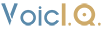 VoicIQ